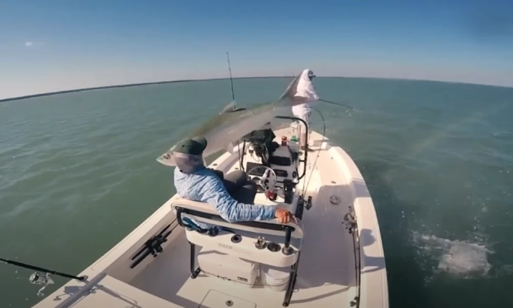 Ψαράς γλιτώνει το κεφάλι του από τεράστιο ψάρι που πηδά πάνω από τη βάρκα